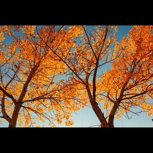 Meet your Posher, Trei